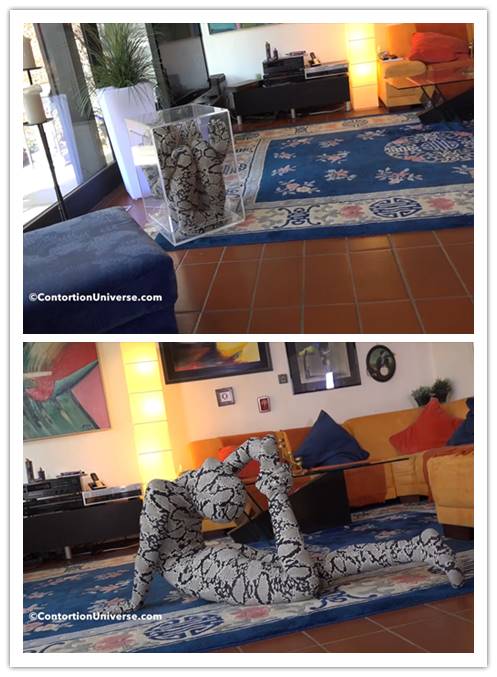 ������ż����������ȥ���򣿴�Ŷ���Ǯ��