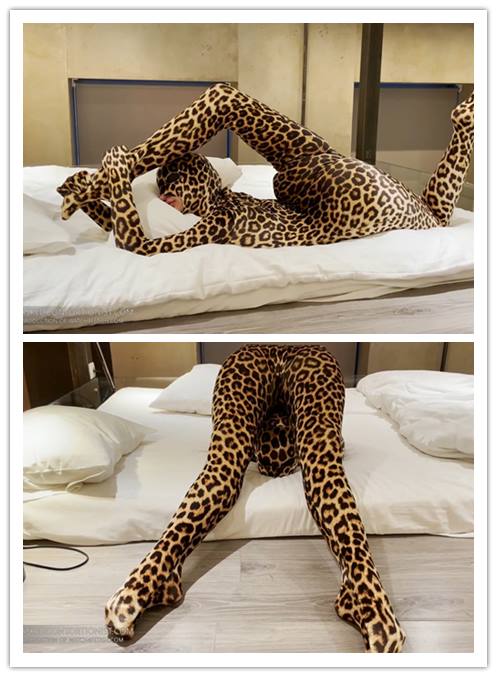 ���������кܴ�ı������������ܹ�ע