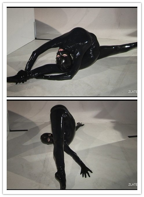 2021.12-27����Ƶ��Ա��zlatexר���Ѹ���