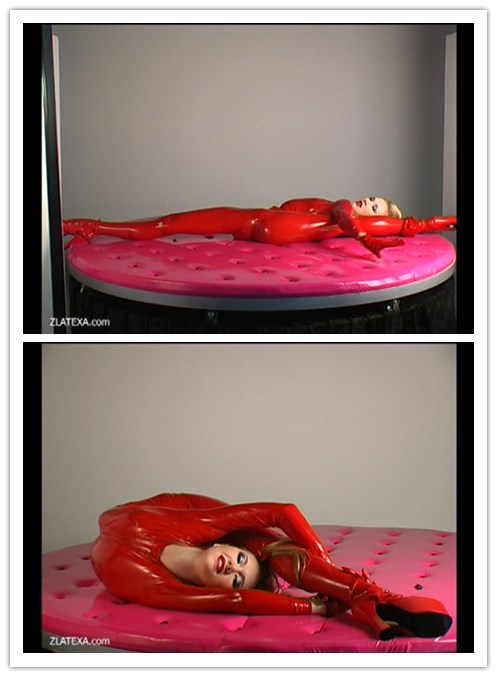 2021.3-25����Ƶ��Ա��zlatexר���Ѹ���