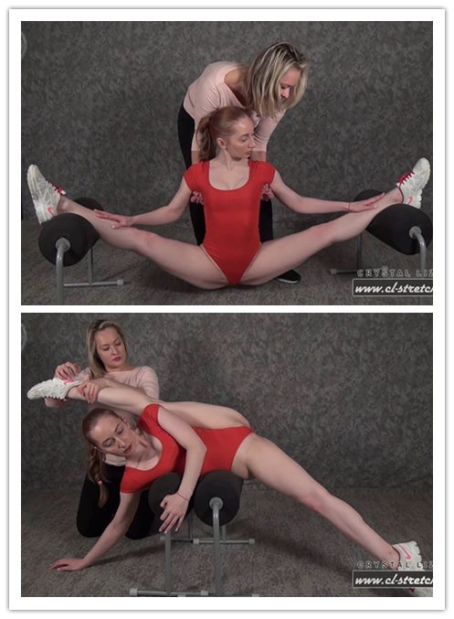 2021.3-5����Ƶ��Ա������ѵ��cl-stretchר���Ѹ���