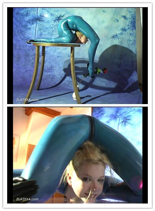 2021.4-11����Ƶ��Ա��zlatexר���Ѹ���