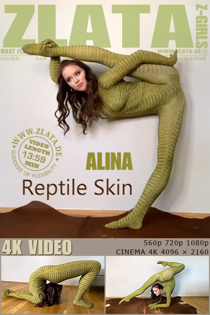 ���ж���Ƥ��