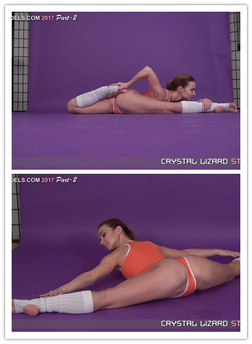 2021.8-11����Ƶ��Ա��DL-VIDEOSר���Ѹ���