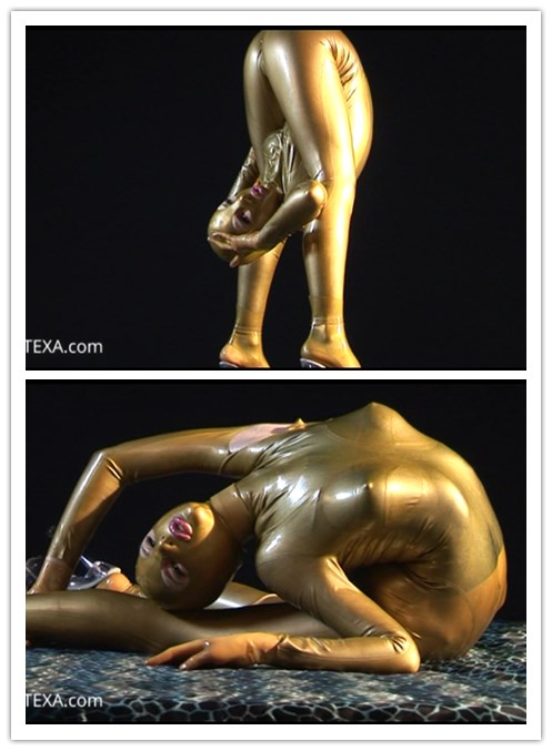 2021.9-24����Ƶ��Ա��zlatexר���Ѹ���