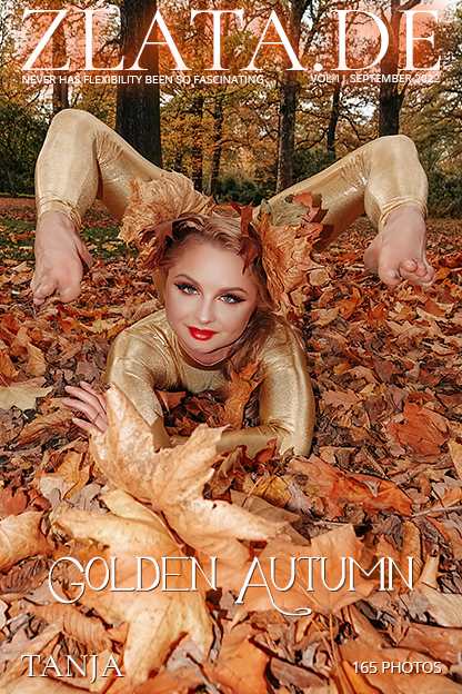 ����ͼƬ�����ܶ�ѵ���߻�ȡ���