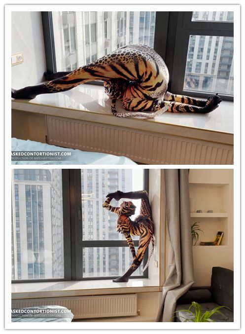 ����һ�������Գ��չ������֮��