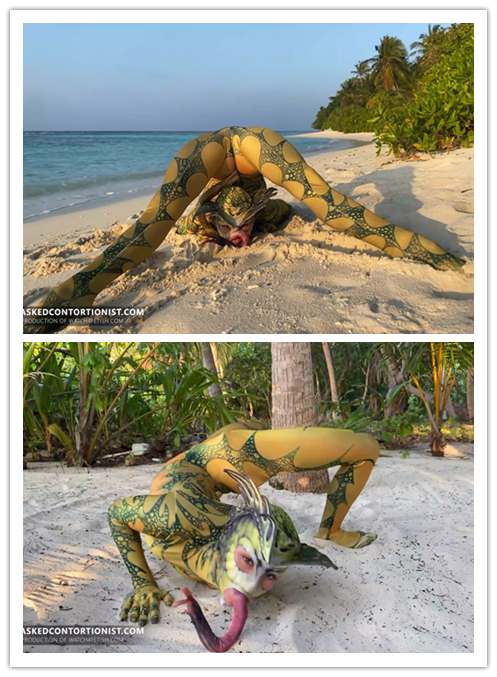 2022.5-6����Ƶ��Ա��maskedcontortionistר������