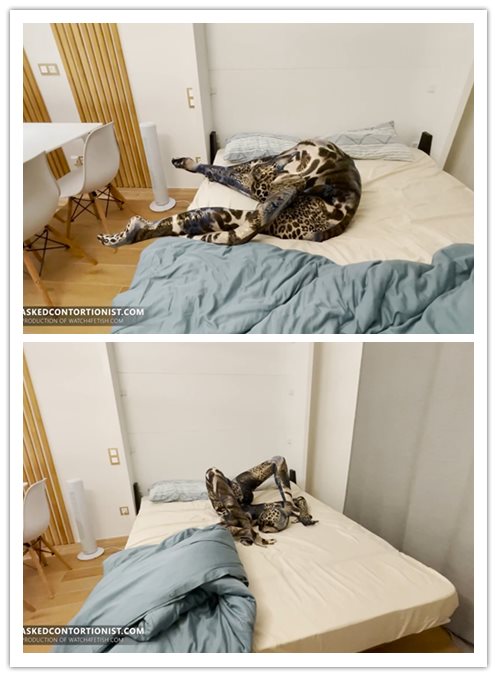 2022.7-3����Ƶ��Ա��maskedcontortionistר������