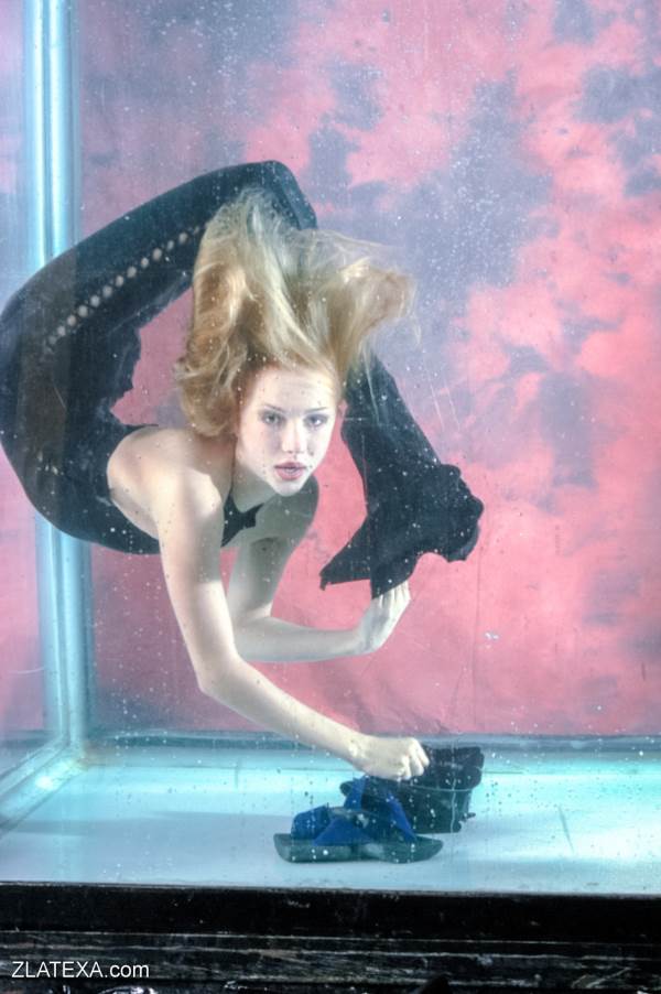 2022.8-27��ͼƬ��Ա��zlatexר���Ѹ���