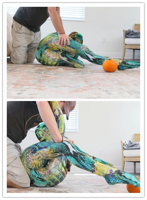 2022.9-26����Ƶ��Ա��Medusaר���Ѹ���