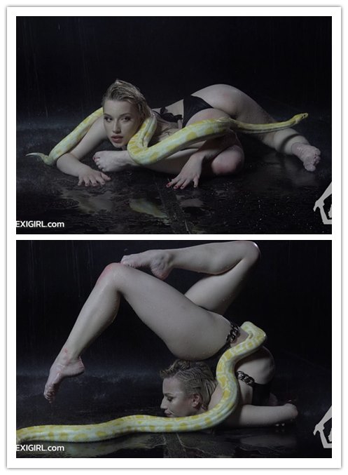 2022.9-4����Ƶ��Ա��iamflexigirlר���Ѹ���