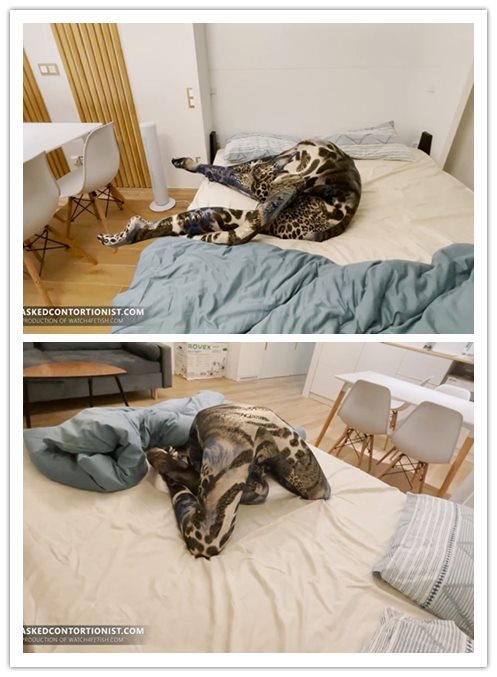 ��Ϊ����֮������Zlata����ѧϰ�����ճ��������ͼ���