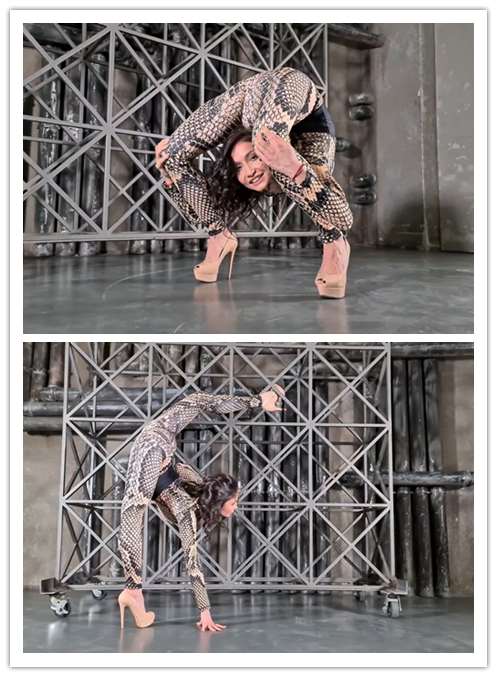 2023.2-12����Ƶ��Ա��flexshowר���Ѹ���