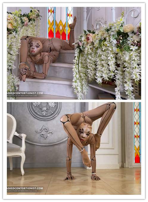 2023.2-13����Ƶ��Ա��maskedcontortionistר������